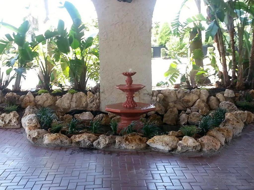 Vista Inn Lake Tarpon Palm Harbor Dış mekan fotoğraf